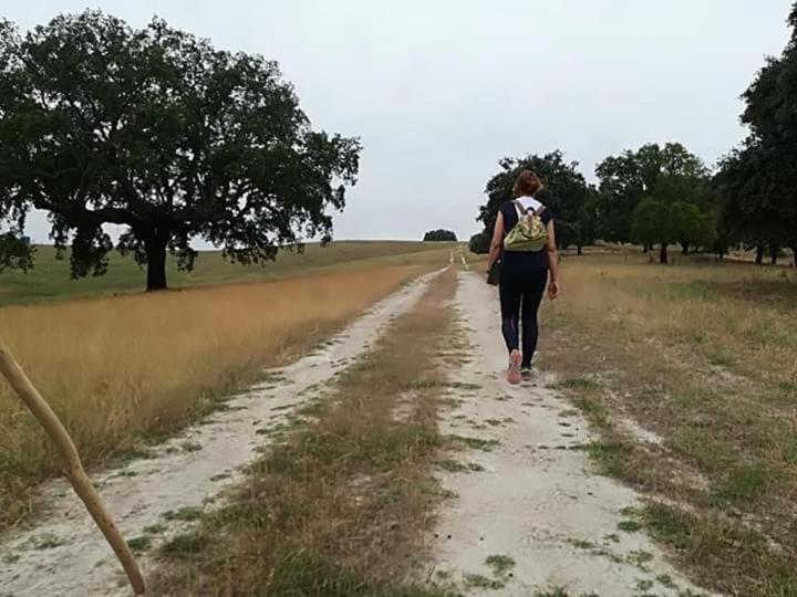 Brotas卡萨斯罗马里亚旅馆别墅 外观 照片
